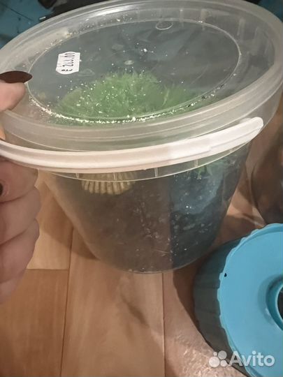 Аквариум на 20 литров