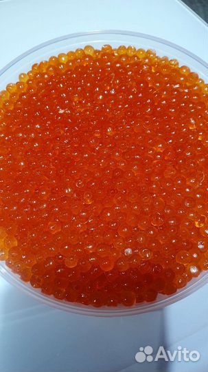 Красная икра 2023