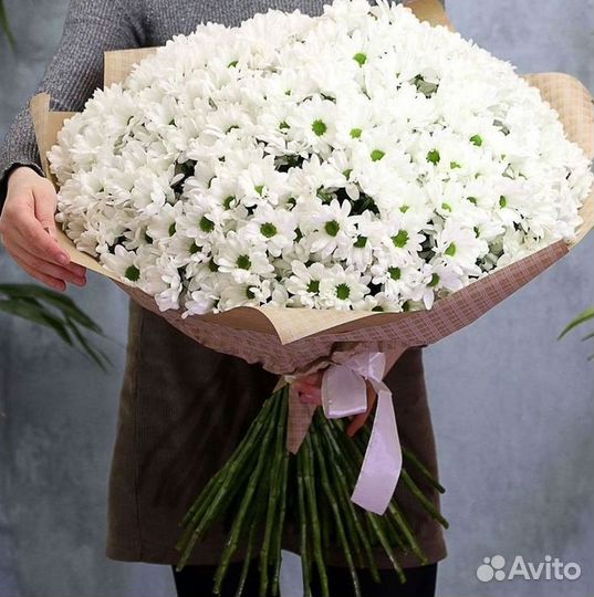 Доставка букетов и цветов. Хризантема