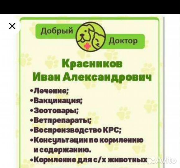 Ветеринарный врач