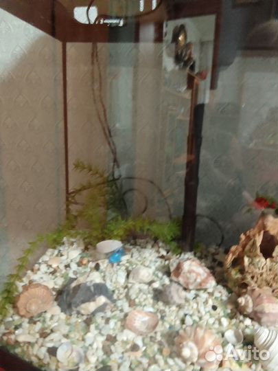 Аквариум б/у на 100-120 литров