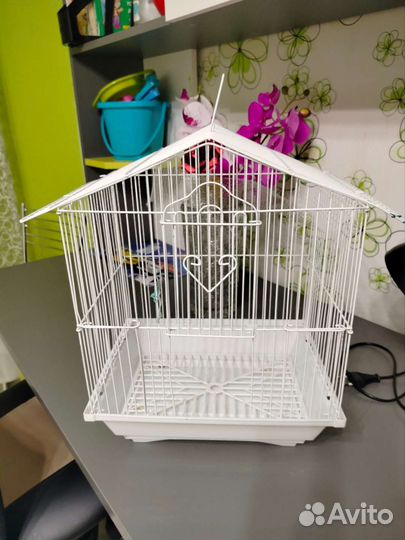 Продаются две большие клетки и белая под попугая