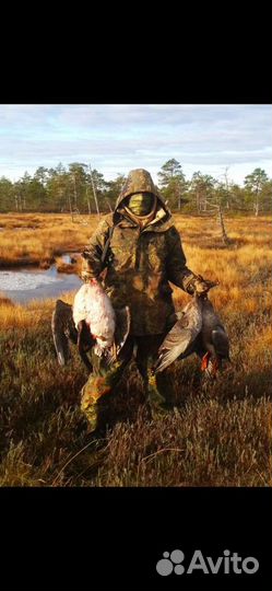 Охота на гуся