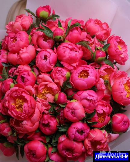 Бесплатная доставка цветов