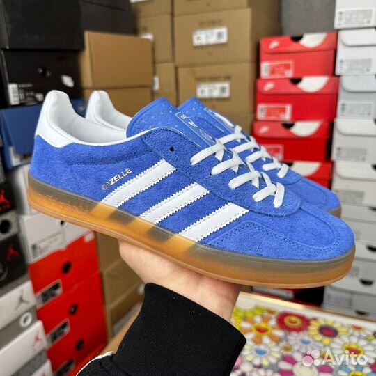 Adidas Gazelle Indoor Blue Bird Gum