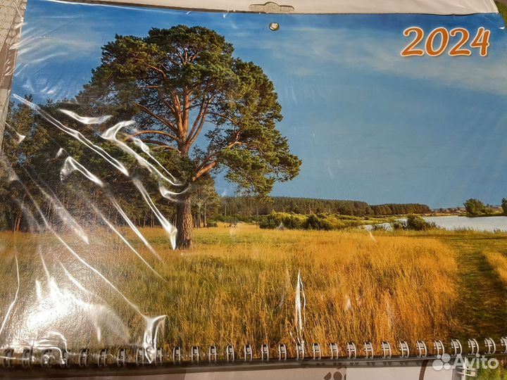 Календари настенные 2024