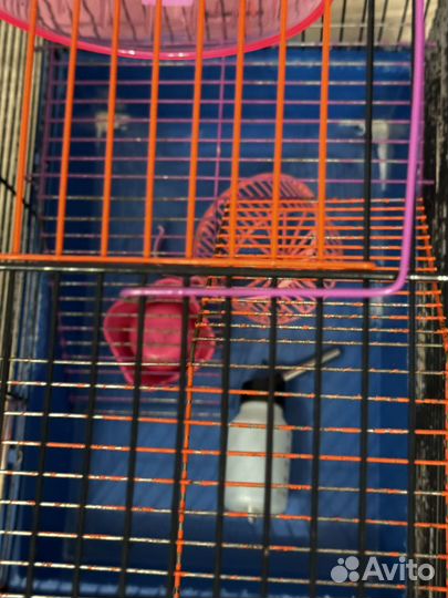 Клетка для грызунов