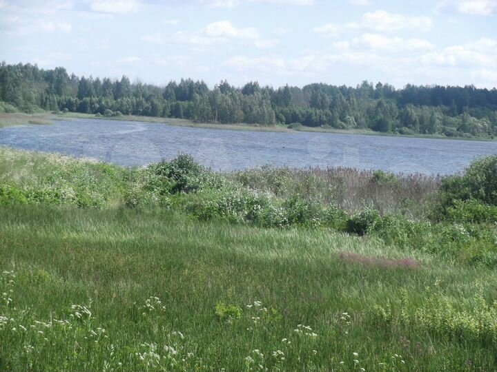 Дом 53 м² на участке 10 сот.