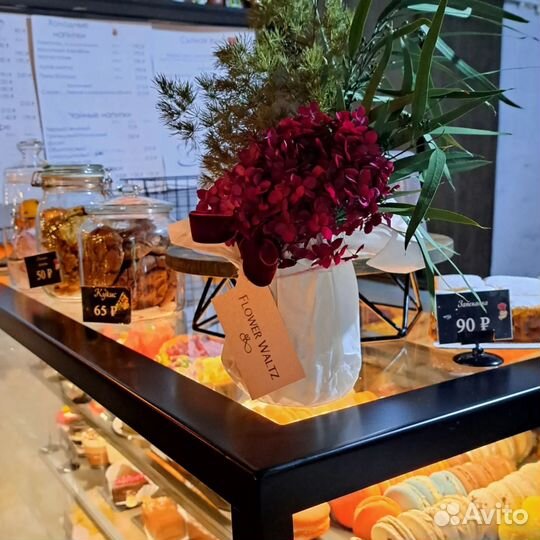 Комнатные растения цветы