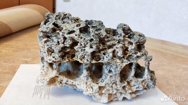 Мангровые коряги 50+см, песчаник и автокормушки