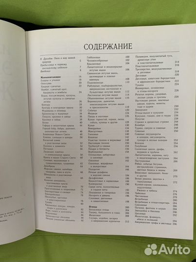 Энциклопедия животных с илюстрации