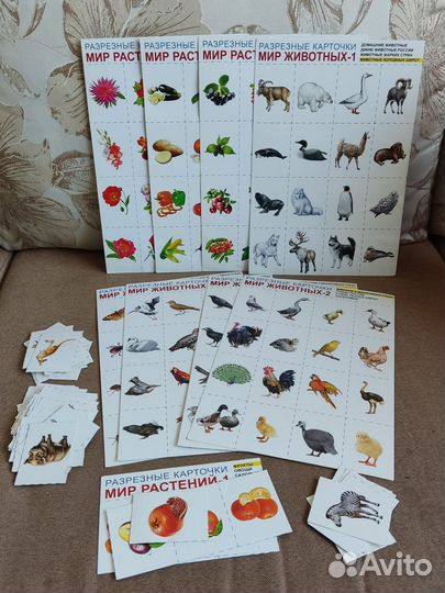 Пособие Развивающие карточки для детей 192 шт