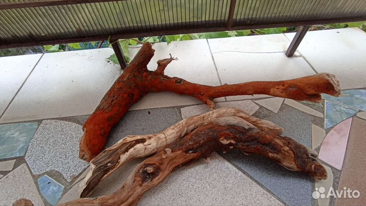 Коряги для аквариума