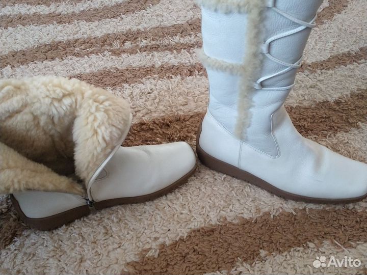 Сапоги зимние Tervolina