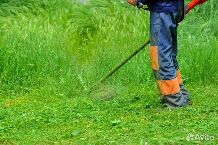 Покос травы