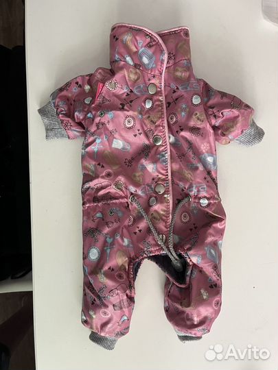 Костюм для пуделя