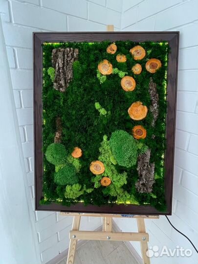 Картина из стабилизированного мха 60х80