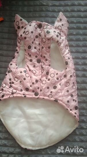 Одежда для животных