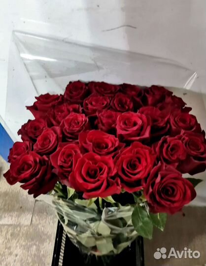 101 роза с доставкой, букет роз с доставкой