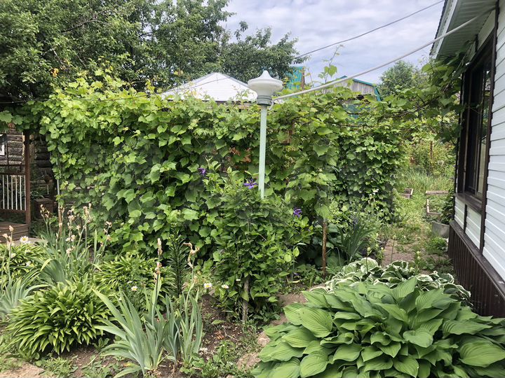 Дом 60 м² на участке 4 сот.