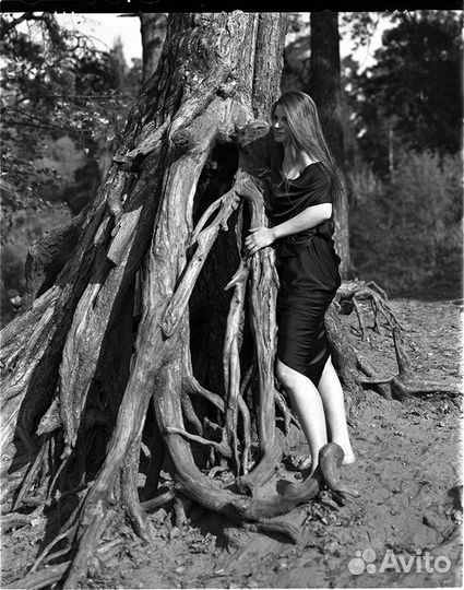 Фотограф на плёнку. Печать, оформление