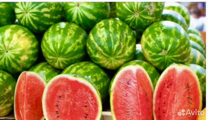 Арбузы оптом