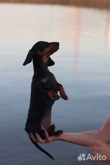 Крошечная девчушка