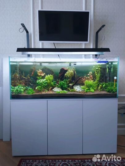 Аквариум по индивидуальным размерам