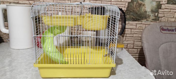 Клетка для хомяка