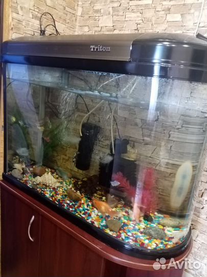 Аквариум