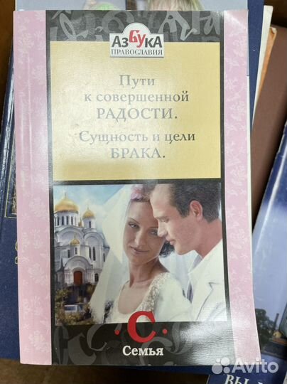 Н.Е. Пестов, Путь к совершенной радости. Сущность