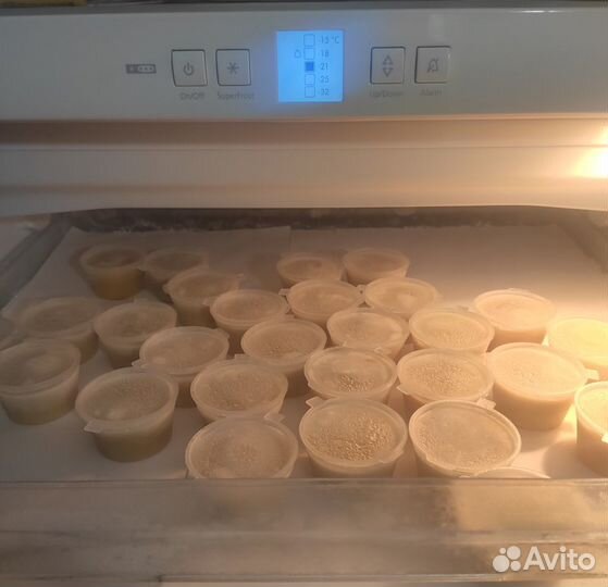 Трутнёвый гомогенат