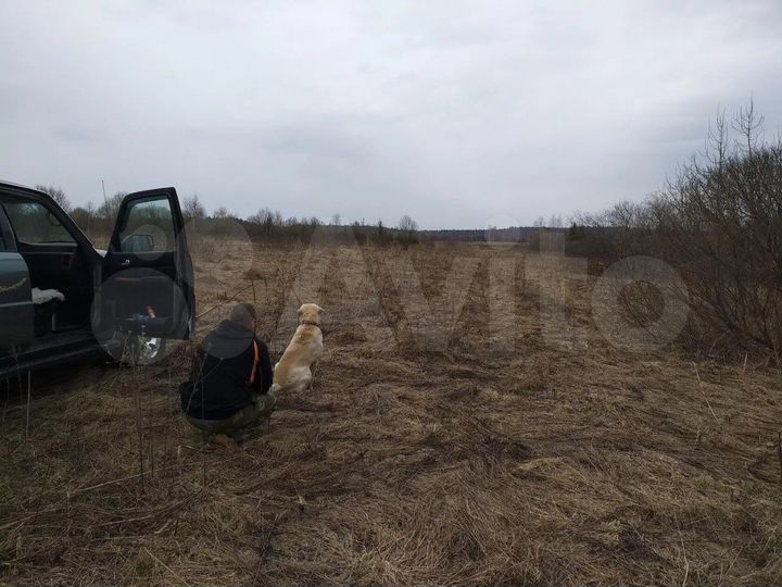 Участок 12 га (СНТ, ДНП)