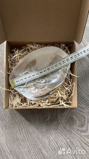 Ракушка интерьерная для пало санто, украшений