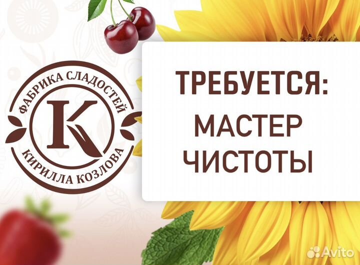 Мастер чистоты