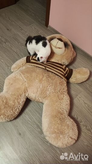 Большие плюшевые медведи