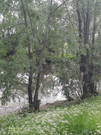 Дом 90 м² на участке 29 сот.