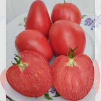 Знаменитая клубника м.Шлаубах семена томатов