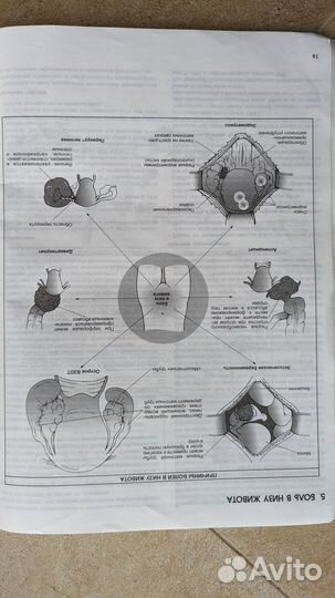 Наглядные акушерство и гинекология