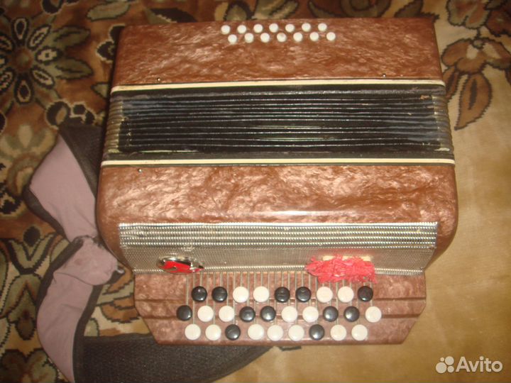Аккордеон малыш с футляром Баян детский