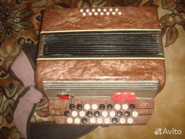 Аккордеон малыш с футляром Баян детский