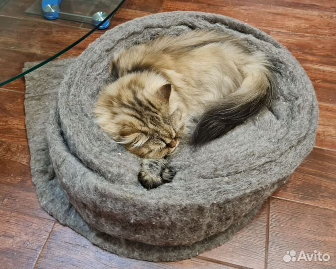 Шерсть овечья