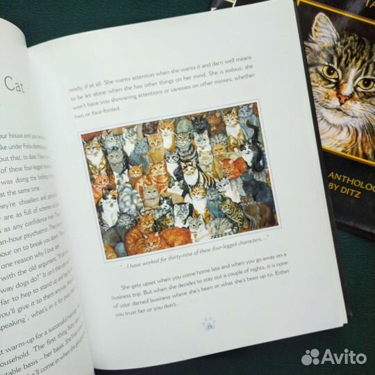 Сборник о кошках