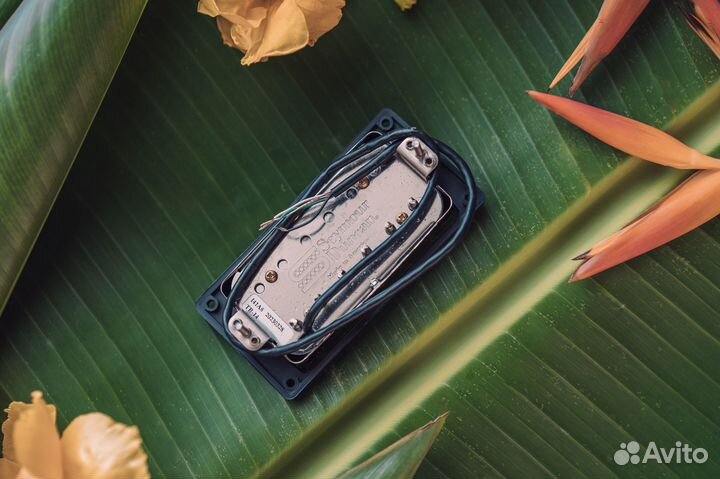 Seymour Duncan TB-14 Custom 5