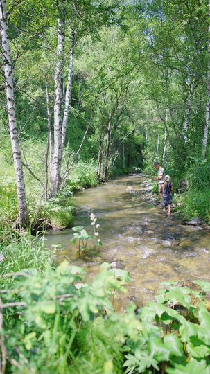 Участок 55,5 га (СНТ, ДНП)