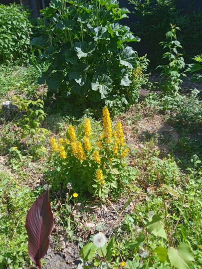 Дом 120 м² на участке 14 сот.