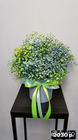 Живые цветы розы