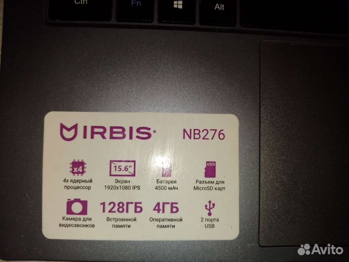Irbis