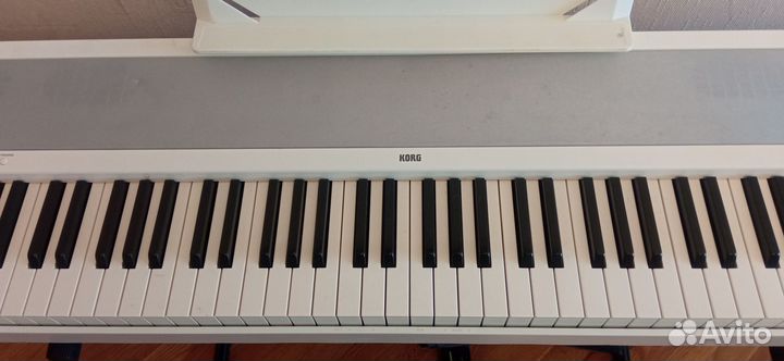 Предлагается Korg B 1 WH