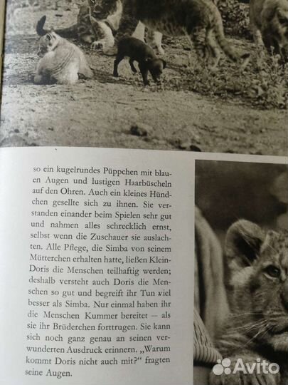 Немецкий язык учебник 1-4, 6,7,8 классы, словари